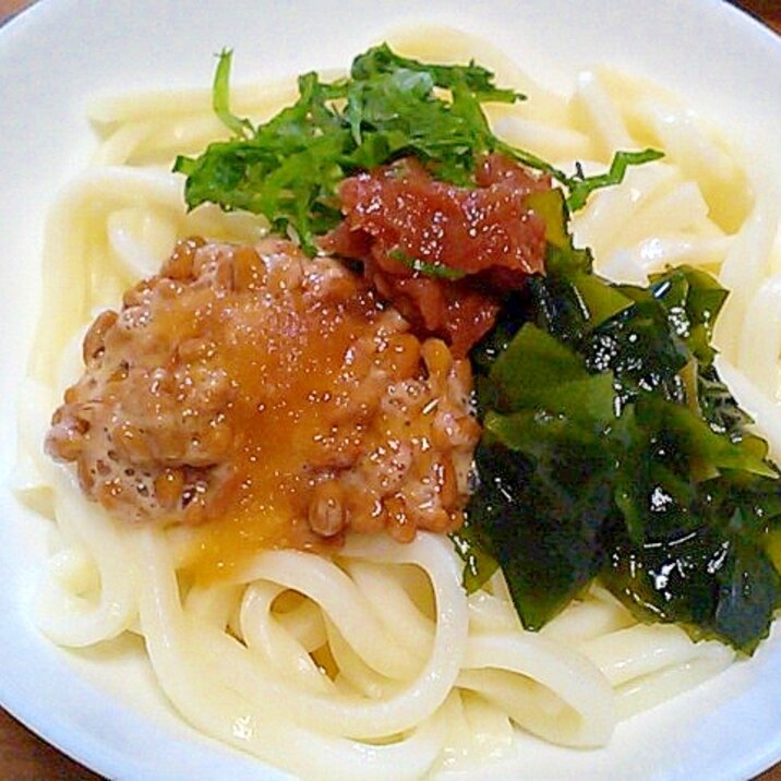 夏バテ予防にさっぱり！梅干冷し(サラダ)うどん